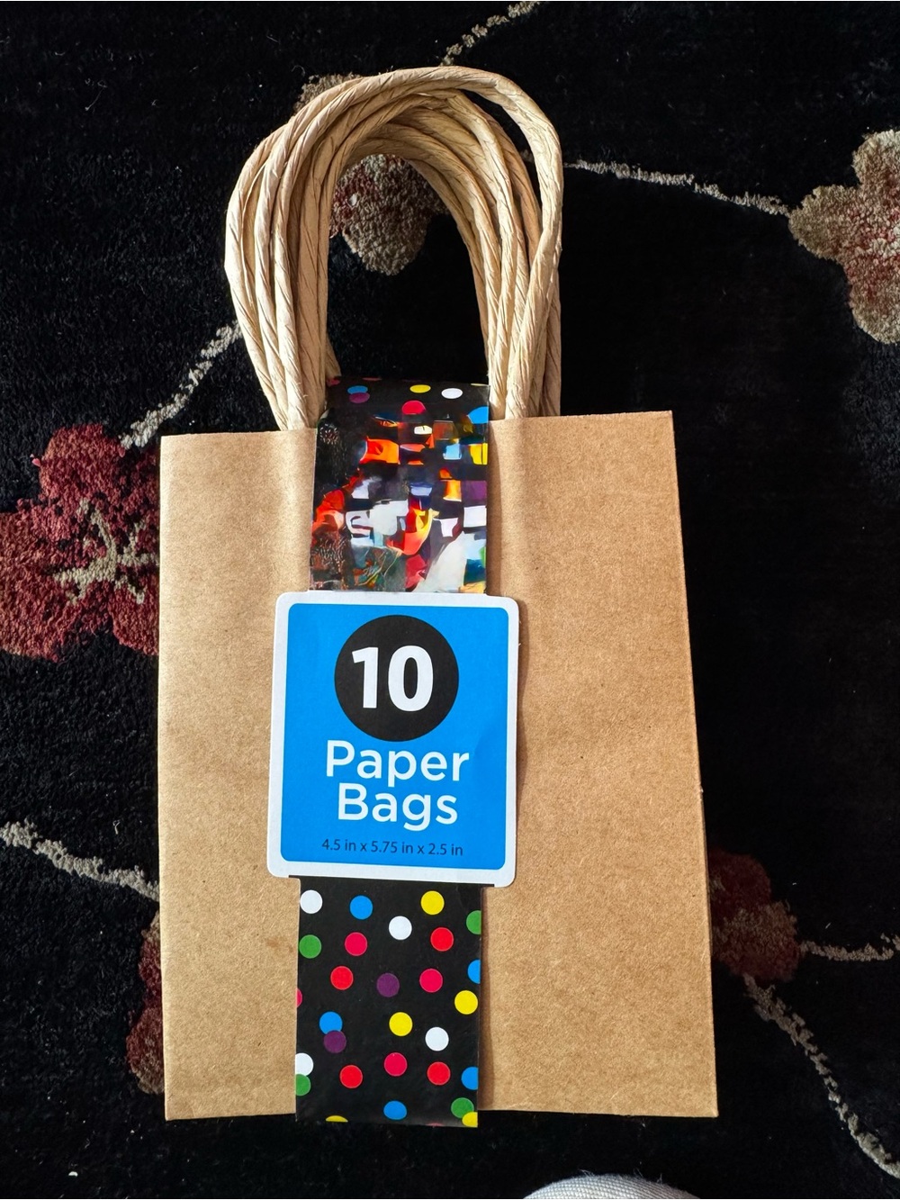 10 Kraft Paper Bags for Gifts/Party Favors